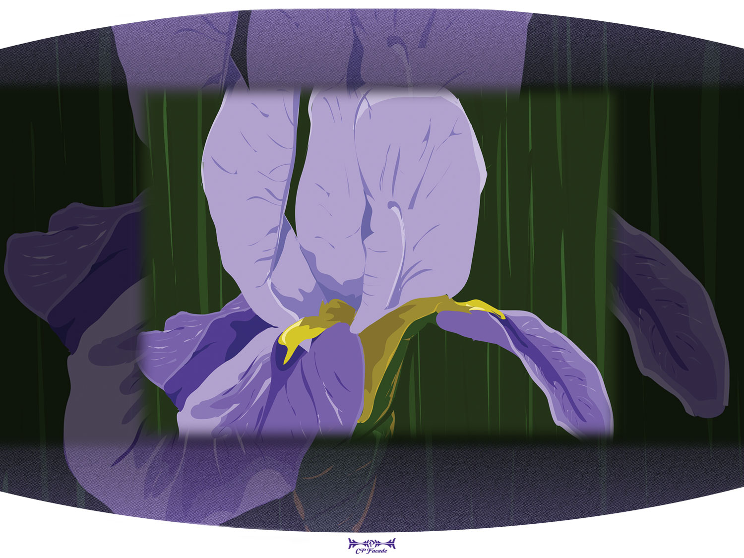 Custom Illustration of a purple iris flower