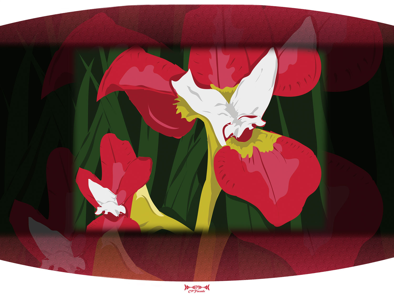 Custom Illustration of a red lily flower